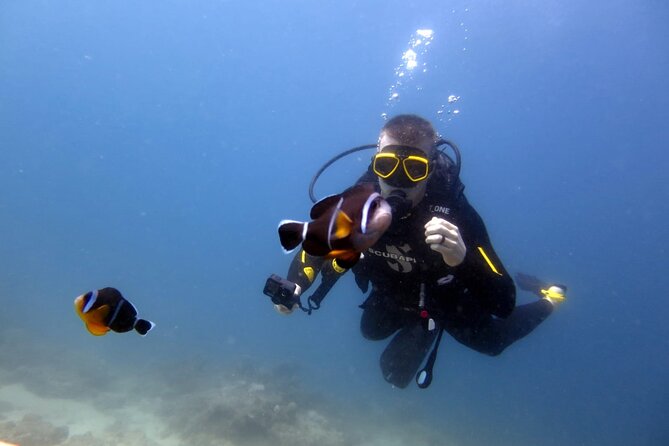 Discover Scuba Diving Experience - Why this is a smart first step into scuba