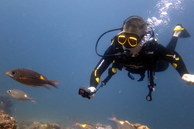 Discover Scuba Diving Experience - What the $130 price includes