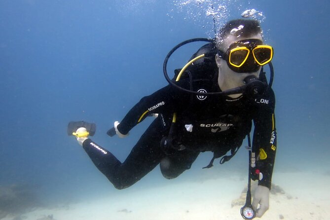 Discover Scuba Diving Experience - The two-week certificate and your next choice