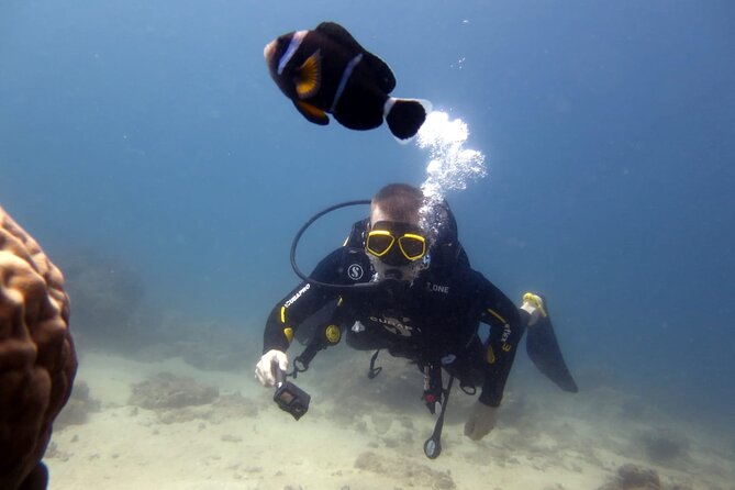 Discover Scuba Diving Experience - Health rules deserve serious attention