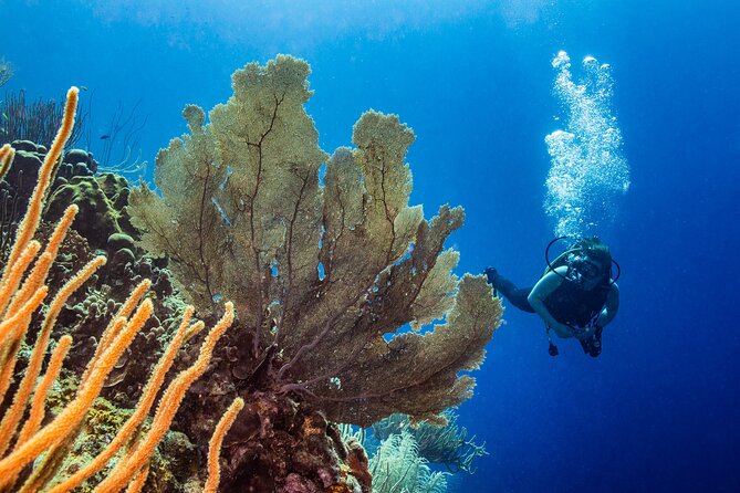 Discover Scuba Diving Experience - Who will get the most from this experience