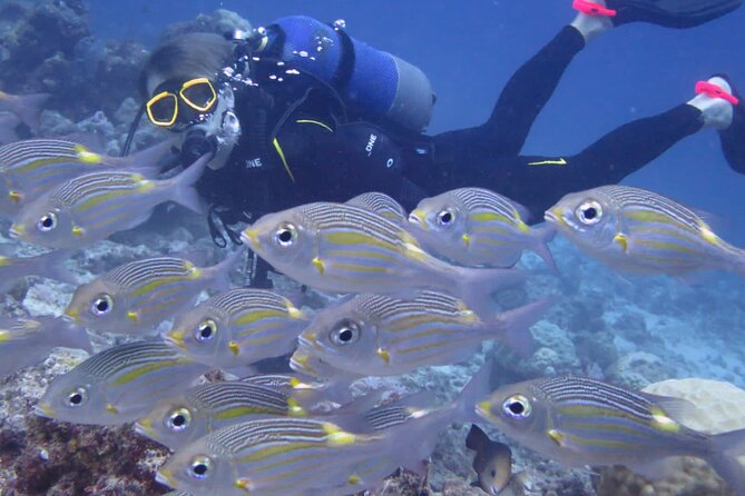 Discover Scuba Diving Experience- Bel Ombre - The briefing makes this suitable for beginners