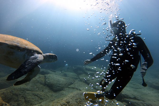 Discover Scuba Diving Experience in Turtle Habitat - The speed boat ride from Puerto Colon