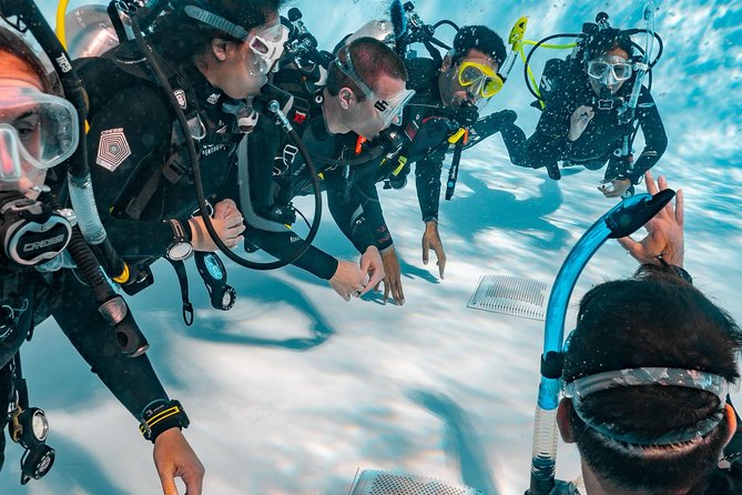 Discover Scuba Diving Experience - What the small group changes