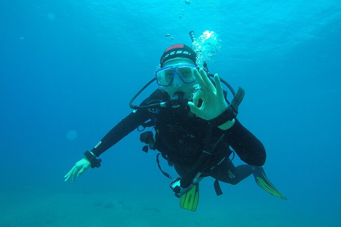 Discover Scuba Diving . First Experience underwater - The value of a three-hour experience at $113.84