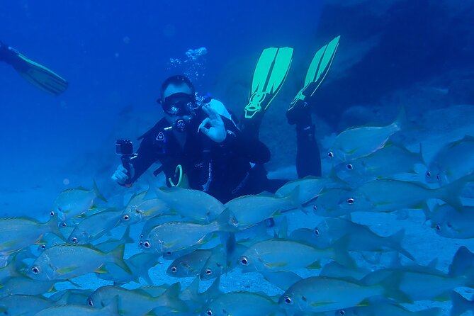 Discover Scuba Diving . First Experience underwater - Who will enjoy this most