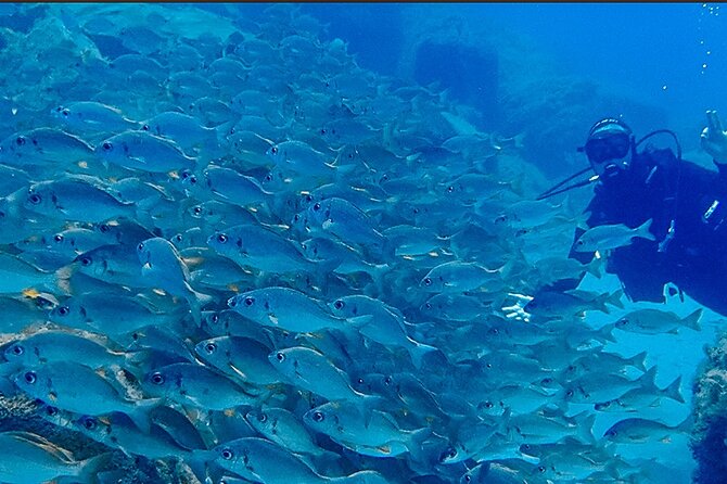 Discover Scuba Diving . First Experience underwater - Small details that make the day easier