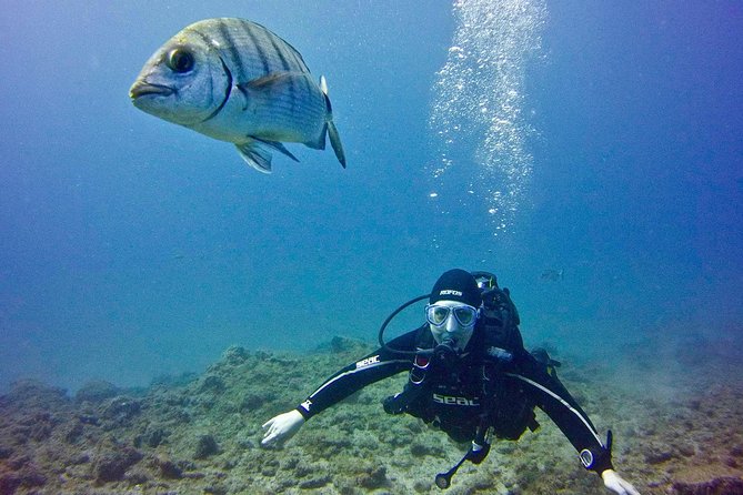 DISCOVER SCUBA DIVING - First step to your certification - Learning the basics before entering the sea