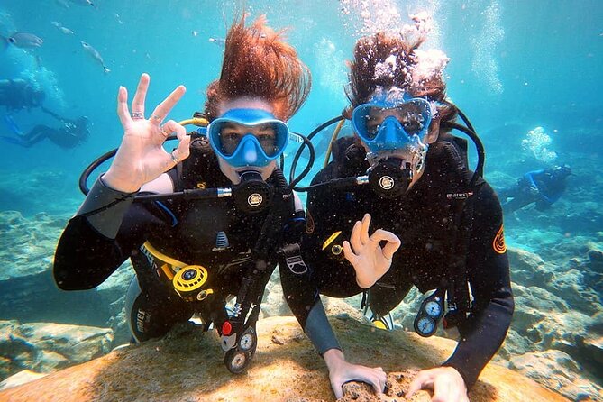 Discover Scuba Diving for Beginners - Key points to know before booking