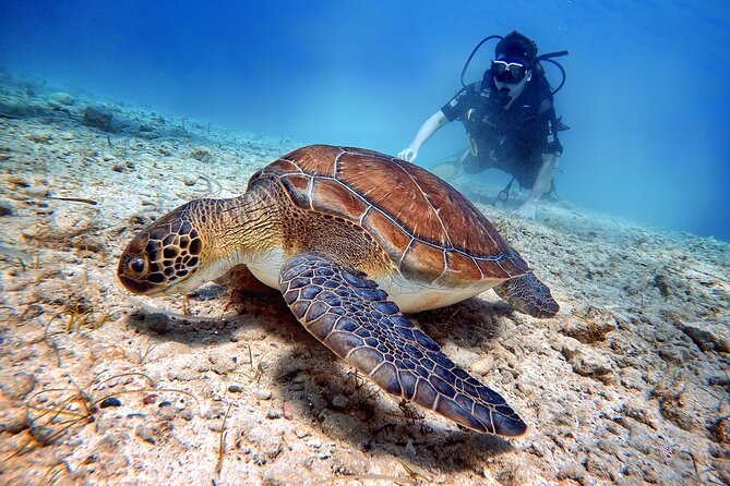 Discover Scuba Diving for Beginners - The 20 to 30 minute briefing
