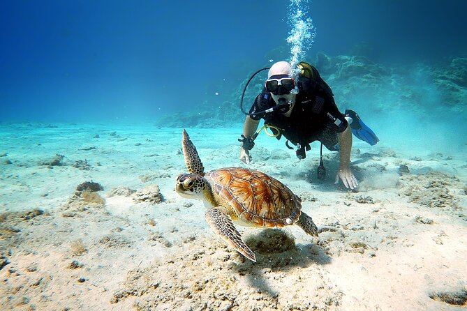 Discover Scuba Diving for Beginners - What the instructors add
