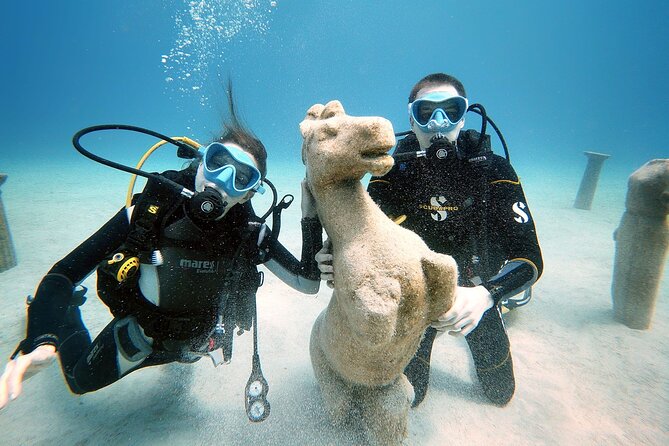 Discover Scuba Diving for Beginners - Who will enjoy this most?