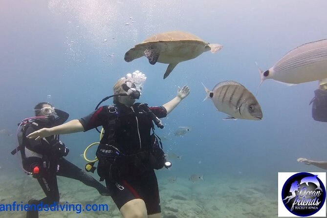 Discover Scuba Diving, free pictures included - How the group size affects your experience