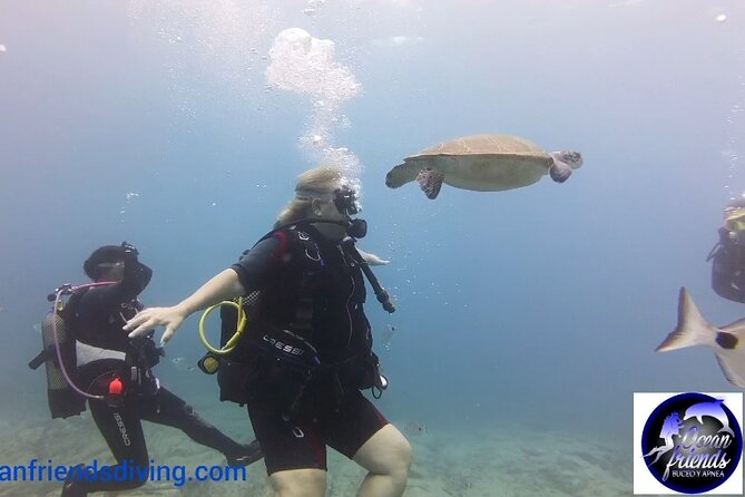 Discover Scuba Diving, free pictures included - Price and what the $95.03 covers