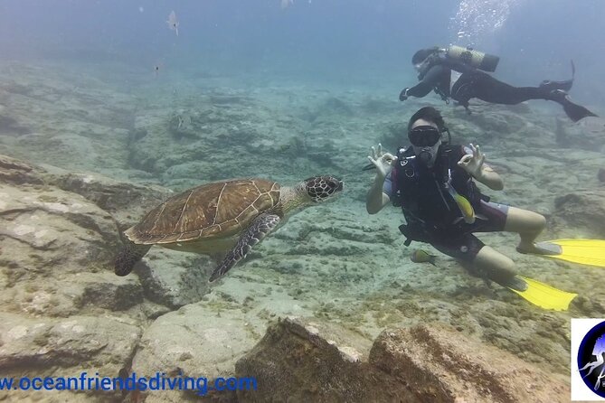 Discover Scuba Diving, free pictures included - Going down to a maximum of 12 meters