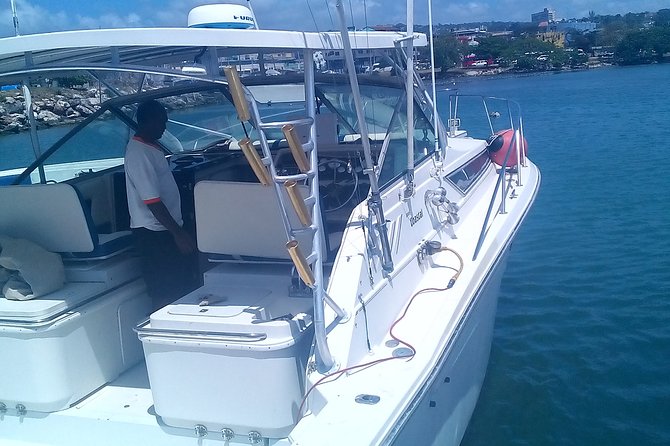 Discover Scuba Diving From Ocho Rios - What beginners learn before entering open water