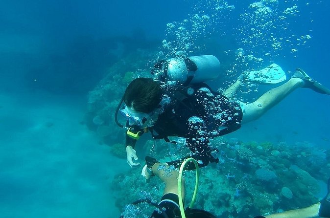 Discover Scuba Diving From Ocho Rios - What the $323 price really covers