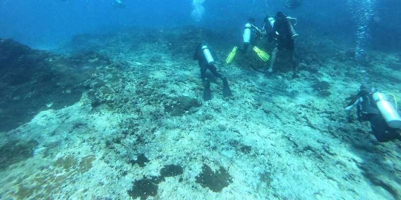 Discover Scuba Diving : Hikkaduwa : Scuba Diving - Key points at a glance