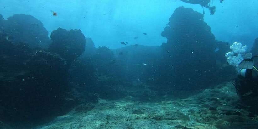Discover Scuba Diving : Hikkaduwa : Scuba Diving - Starting at the International Diving School in Hikkaduwa