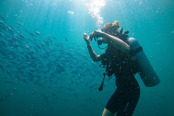 Discover SCUBA Diving in Beautiful Unawatuna Bay - Key points to know before booking