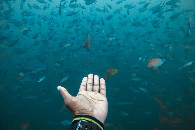 Discover SCUBA Diving in Beautiful Unawatuna Bay - Is $65 a fair price?