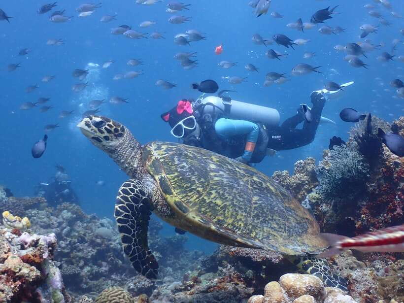 Discover Scuba Diving in Boracay - Key points before you book