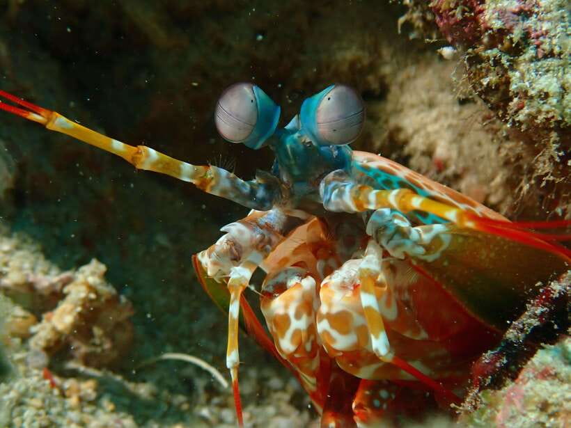 Discover Scuba Diving in Boracay - What makes the $49 price worthwhile