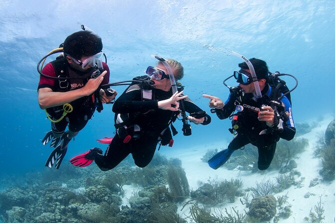 Discover Scuba Diving in Boracay with U/W Photo and Video - What this Boracay underwater experience is really for