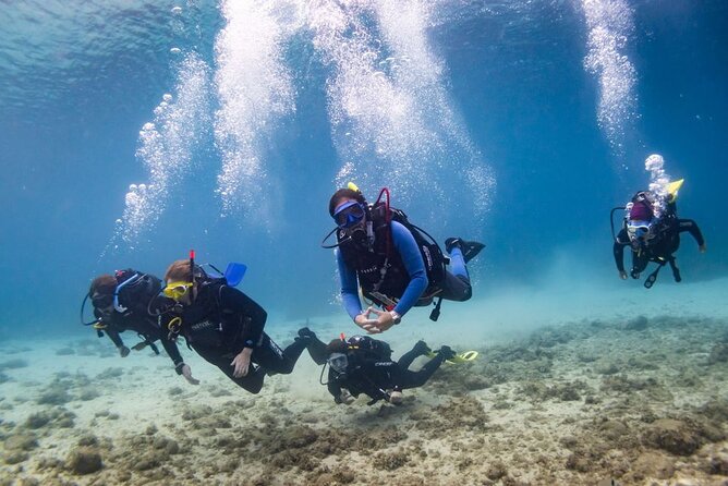 Discover scuba diving in Brindisi - Taking the boat out from Brindisi