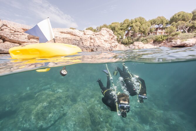 Discover Scuba diving in Calabria, Italy - Key points to know before booking