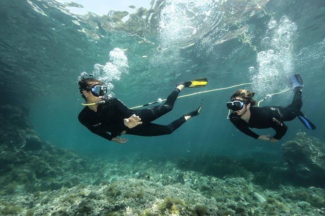 Discover Scuba diving in Calabria, Italy - Price and value at $93.87