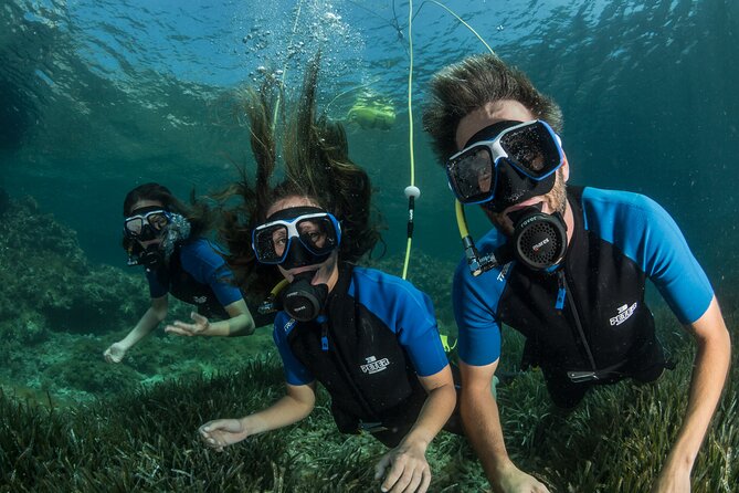 Discover Scuba diving in Calabria, Italy - Who should book this activity?