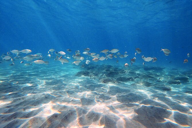 Discover Scuba Diving in Costa Calma - Key points at a glance
