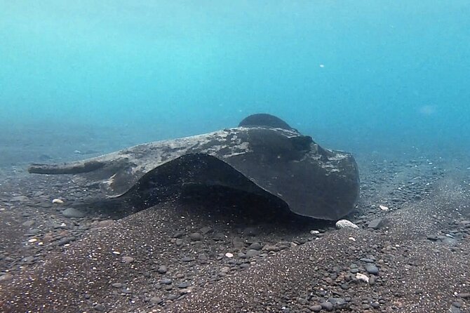 Discover Scuba Diving in Costa Calma - Getting comfortable before going below