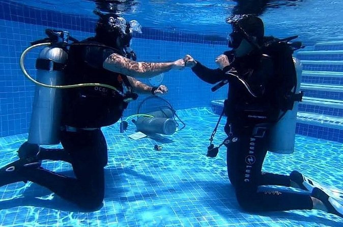 Discover Scuba Diving in Cozumel - Is the time and value right for you?
