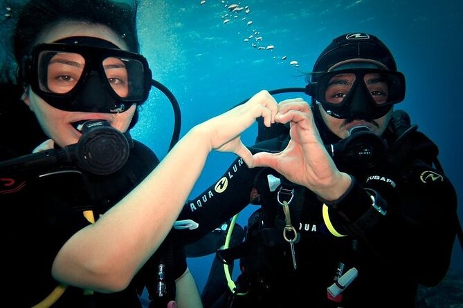Discover Scuba Diving in Cozumel Paradise Reef - Why Paradise Reef makes a good first scuba experience