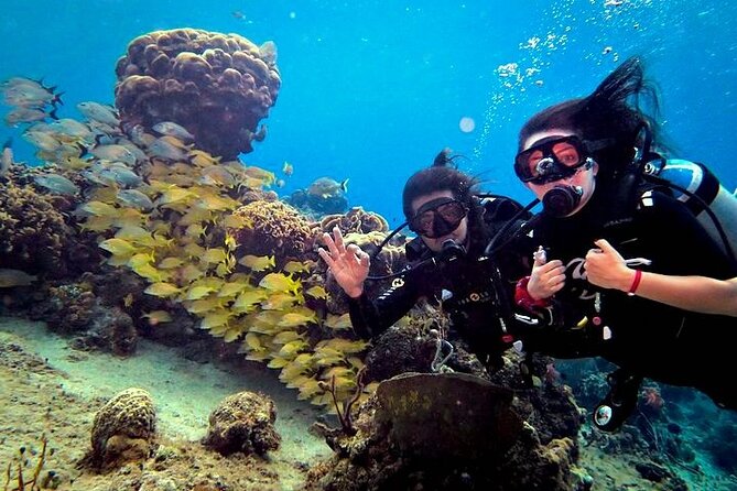 Discover Scuba Diving in Cozumel Paradise Reef - The first Paradise Reef outing