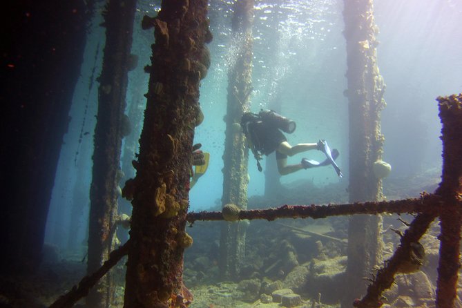 Discover Scuba Diving in Curacao - What the small group changes