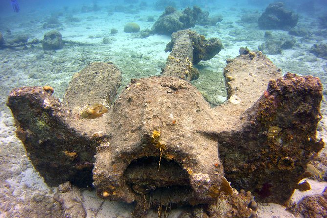 Discover Scuba Diving in Curacao - Is $109 a good value?