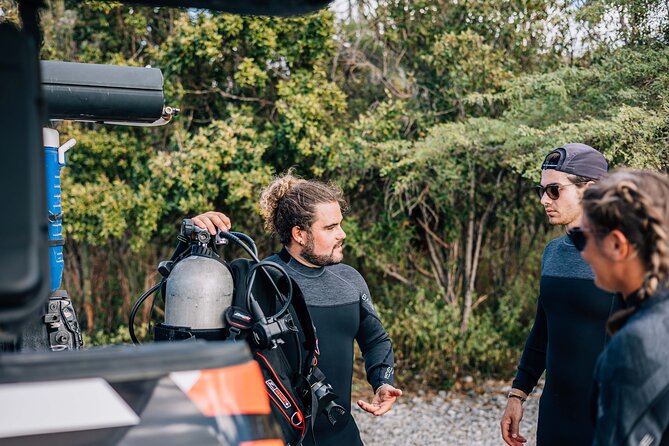 Discover Scuba Diving in Diver's Paradise! - A 9 a.m. start with pickup included