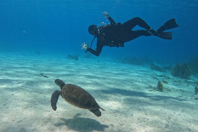 Discover Scuba Diving in Diver's Paradise! - The first underwater session: finding your rhythm