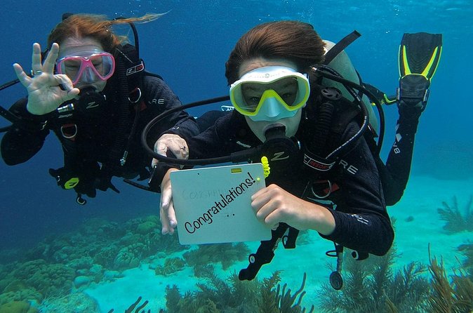 Discover Scuba Diving in Diver's Paradise! - The break: local snacks and homemade juices