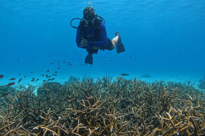 Discover Scuba Diving in Diver's Paradise! - GoPro photos make this a better first-time package