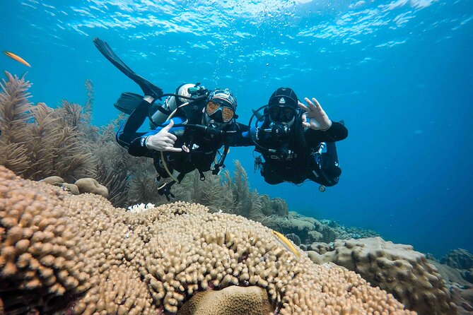 Discover Scuba Diving in Diver's Paradise! - Learning the gear before entering the water