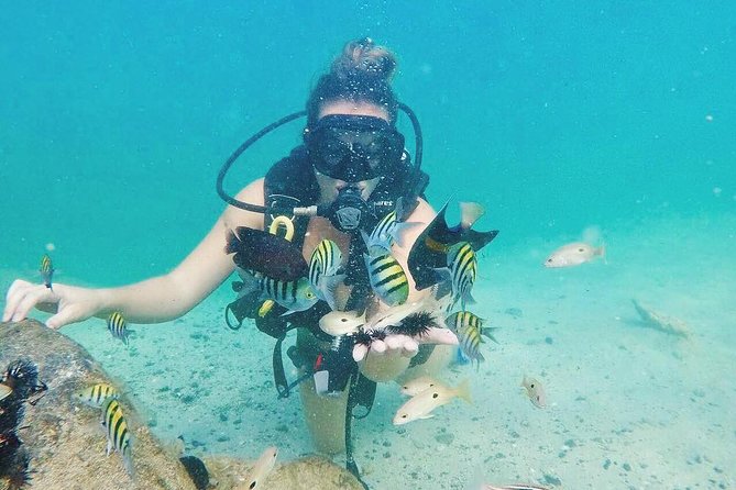 Discover Scuba Diving in Dubai - The underwater photos are a useful extra