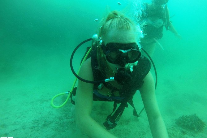 Discover Scuba Diving in Fujirah Dibba - What this Fujairah scuba introduction actually offers