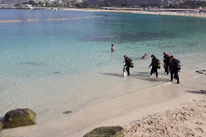 Discover Scuba diving in Gran Canaria with Hotel Pick-up - Up to 12 meters below Amadores Bay