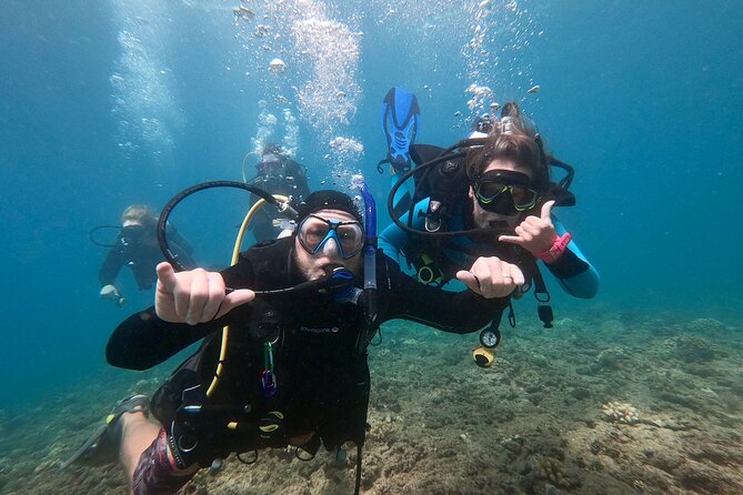 Discover Scuba Diving in Hawaii - Non certified divers! - Starting at Maunalua Bay Beach Park at 10:30 am