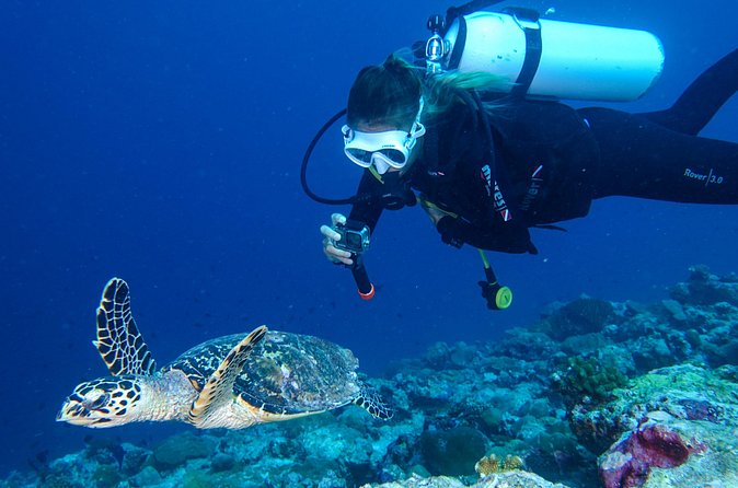 Discover Scuba Diving in Koh Lanta, Thailand - Stop three: Ko Bida Nok and the marine life promise