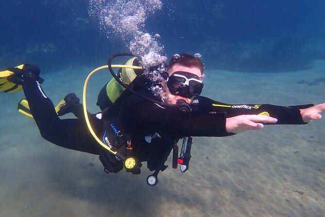Discover Scuba Diving in Lanzarote (Costa Teguise) - Key points to know before booking